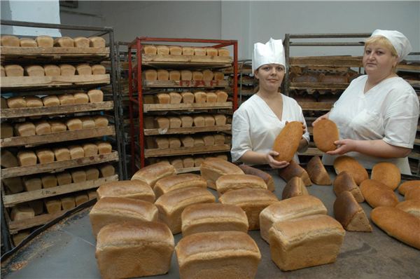 Разнорабочие в пекарню, хлебозавод - фотография