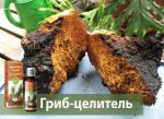 БЕРЕЗОВАЯ ЧАГА ГРИБ(лечебный чай) - Продажа объявление в Минске