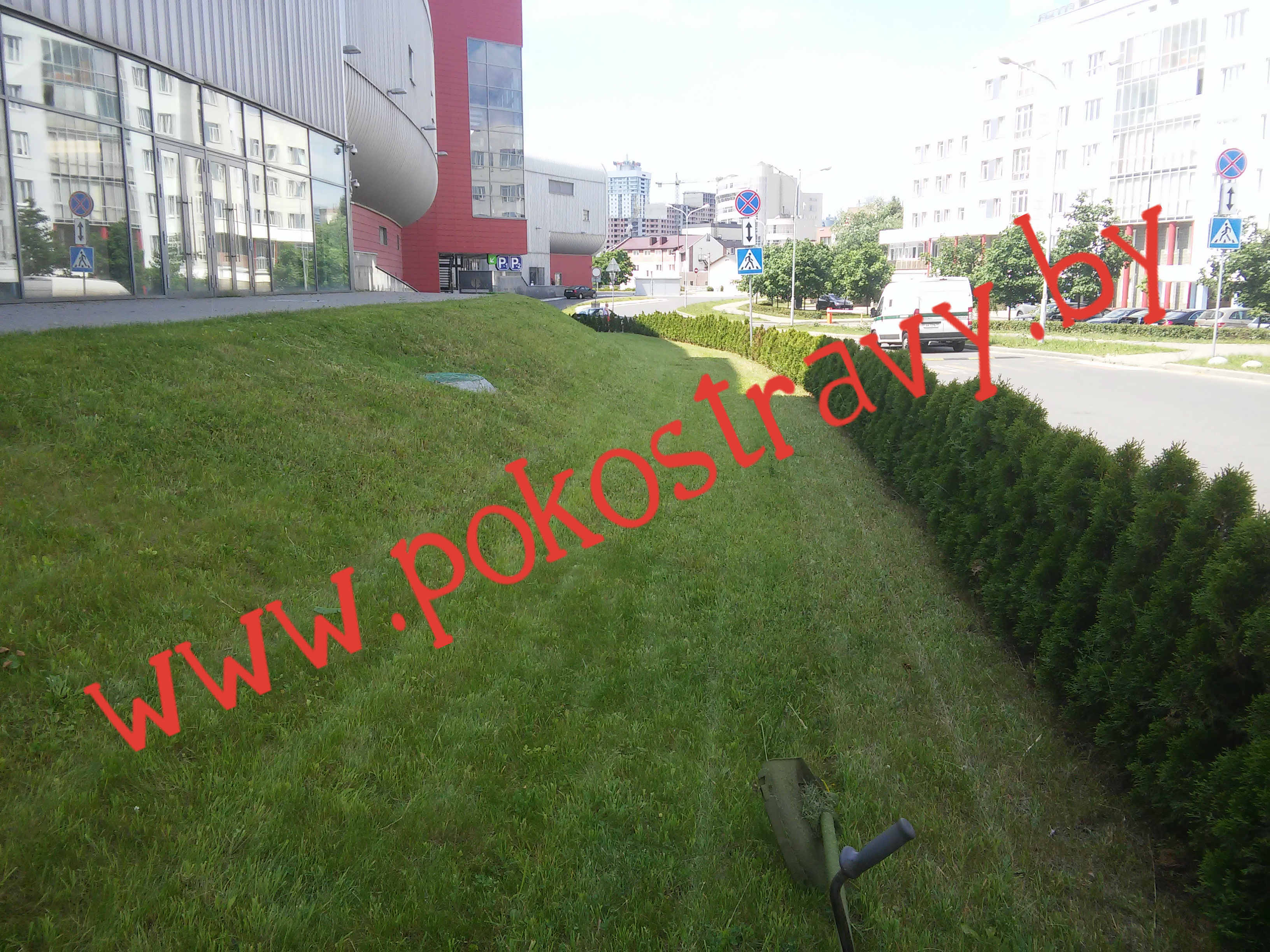 Покос травы в Минске , стрижка газона, скашивание бурьна - фотография