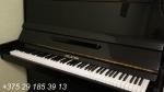 Пианино HOLSTEIN ( фортепиано ) - Продажа объявление в Жлобине