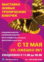 Выставка живых бабочек - Услуги объявление в Гродно