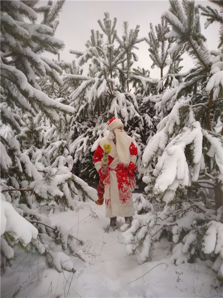 Дед Мороз и Снегурочка в детский сад и на дом! - фотография