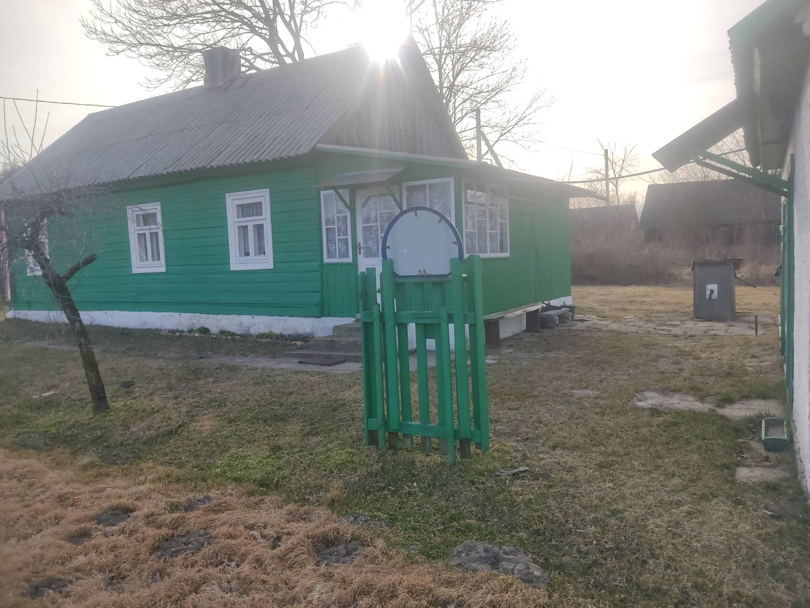 Дом в Беловежской пуще  - фотография