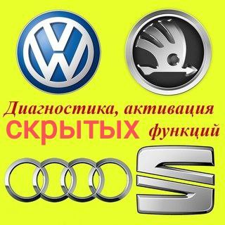 Активация скрытых функций VAG Skoda VW Audi & диагностика App Connect - фотография