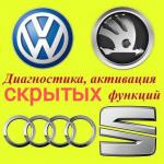Активация скрытых функций VAG Skoda VW Audi & диагностика App Connect - Услуги объявление в Минске