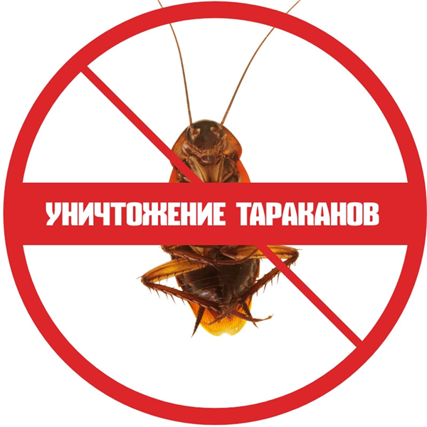 Уничтожение тараканов в квартире - фотография