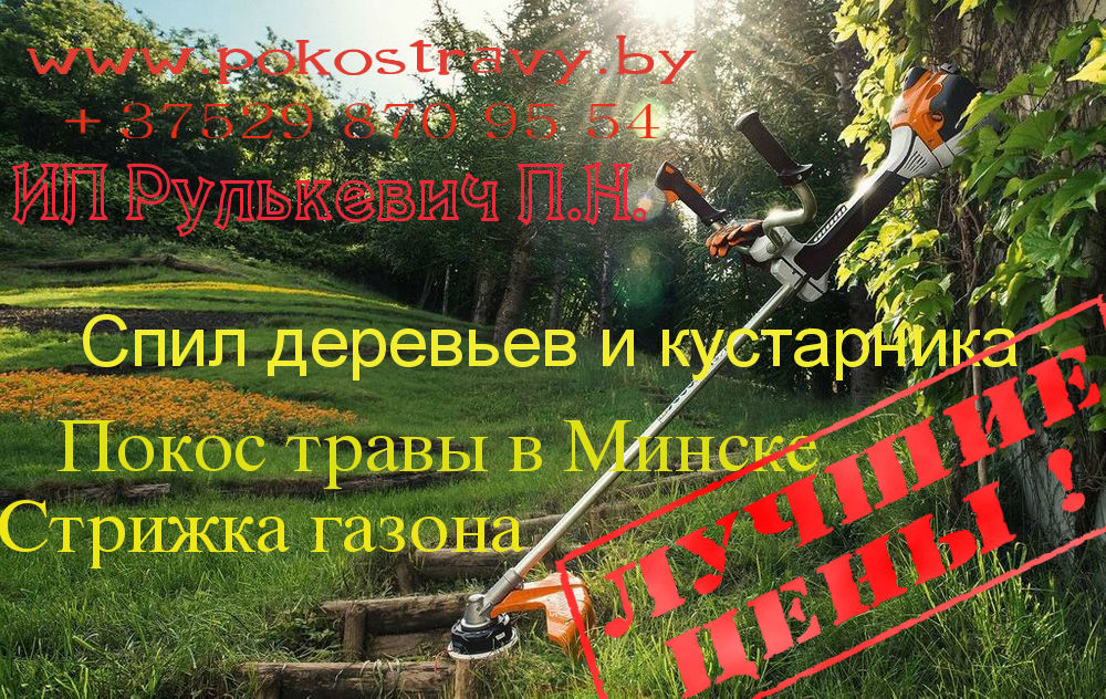 Скарификация (вычесывание) , аэрация газона в Минске и районе - фотография