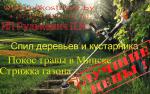 Скарификация (вычесывание) , аэрация газона в Минске и районе - Услуги объявление в Минске