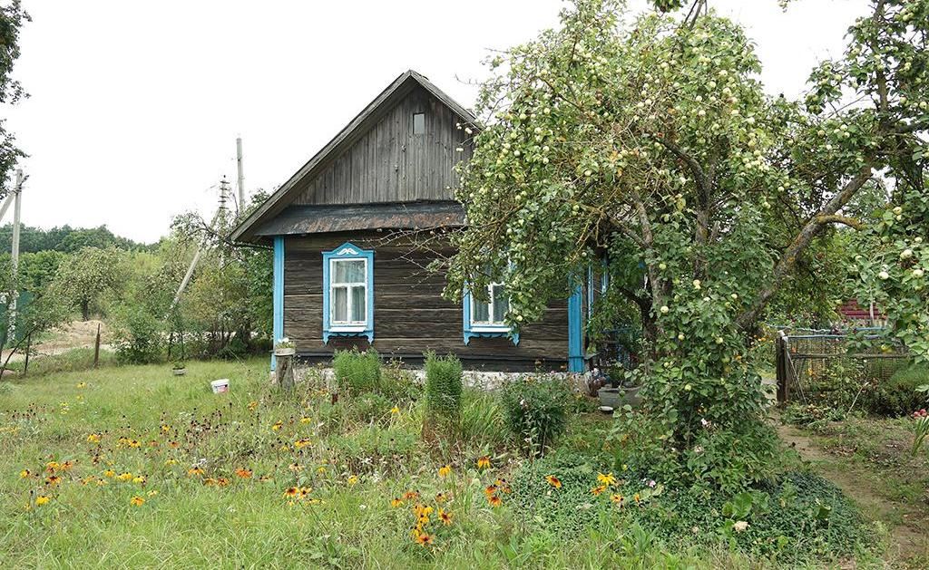 Дом в деревне - фотография