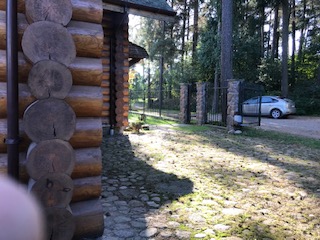 Деревянная вилла с баней в сосновом лесу рядом с Минском в долгосрочную аренду - фотография
