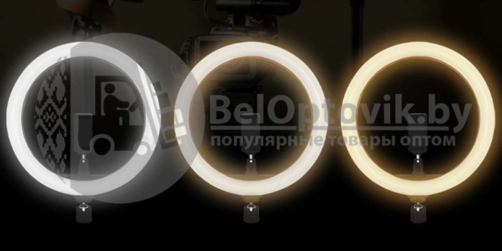 Кольцевая светодиодная лампа подсветка Nova M30 LED 180 d30 см  ШТАТИВ - фотография