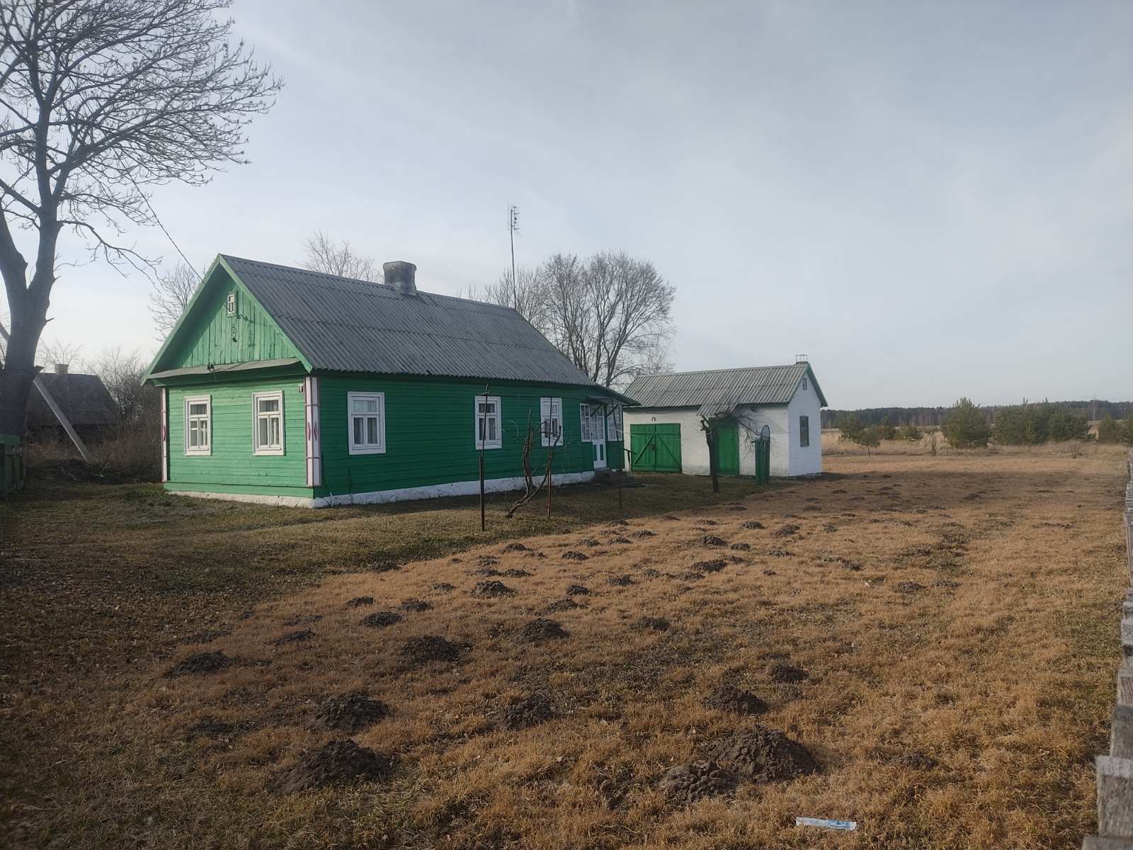 Дом в Беловежской пуще  - фотография