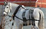 Упряжь для лошадей ( хомуты всех размеров, уздечки, вожжи, дуги...) - Продажа объявление в Минске