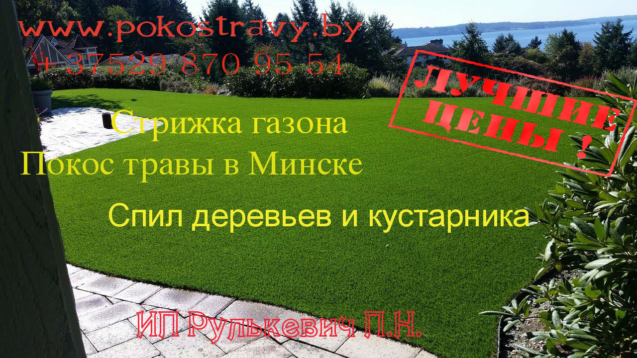 Покос травы в Минске, стрижка газона, скашивание бурьна - фотография